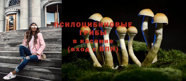 сатива Алексин